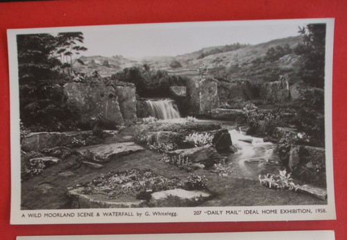 Old rppc daily mail - rppc, ideal