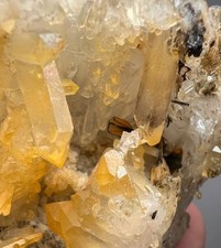 133-G Full Terminated Rare Top