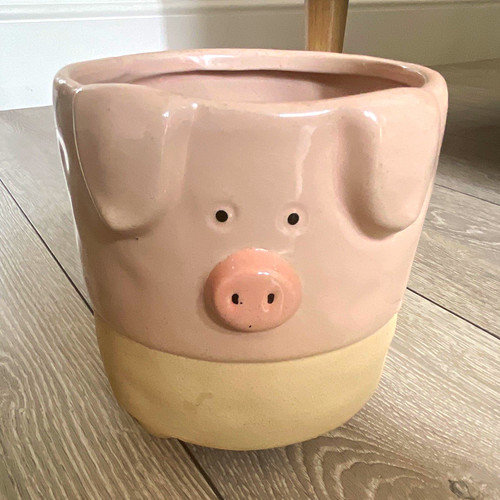 Abbott collection ceramic - collection, pig