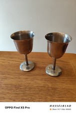 Stainless Steel Goblets