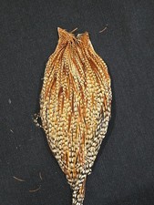 Barred Ginger Rooster Neck