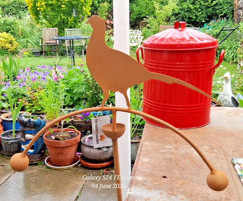 Pheasnt balancing wind vane - pheasnt, wind-vane