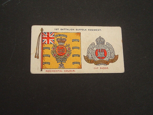 Player regimental standards - regimental,