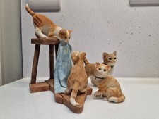 SHERRATT AND SIMPSON KITTENS