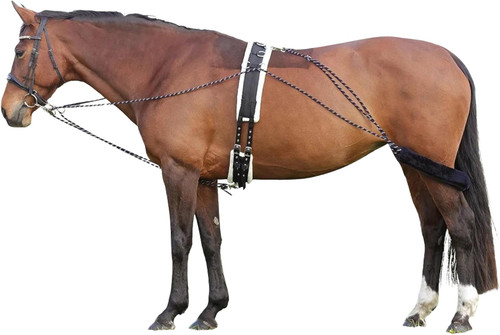Lunging aid for horses - for,