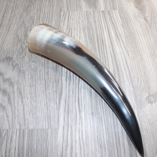 Polished cow horn 465 - 1, #465