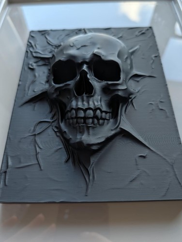 Skull wall art - wall,