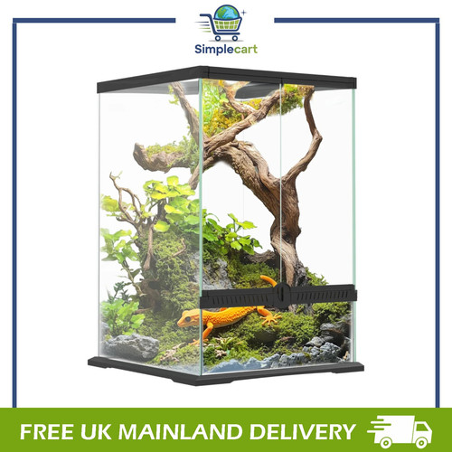 Glass reptile terrarium - reptile, terrarium,