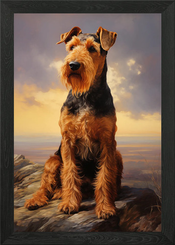 Airedale terrier portrait - airedale,
