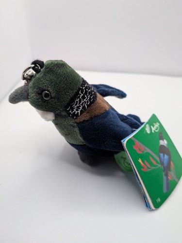 Antics new zealand zūī bird - zealand,
