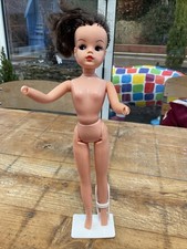 Vintage Pedigree 1970s Active