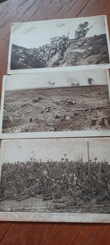 Wwi postcard lot daily - wwi,