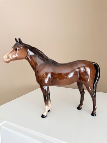 Beswick bay arab - beswick, bahram