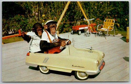 Monkey jungle miami - miami, fl