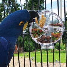 Creative foraging wheel - creative,