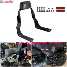 Passenger Backrest Sissy Bar