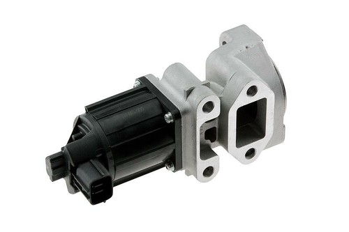 Egr valve with - egr, gaskets