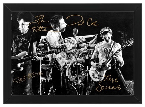 The sex pistols band - the,