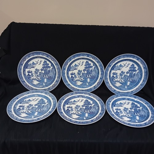 Wedgwood willow dinner - willow,