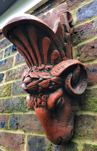 Rams head gothic - head, wall