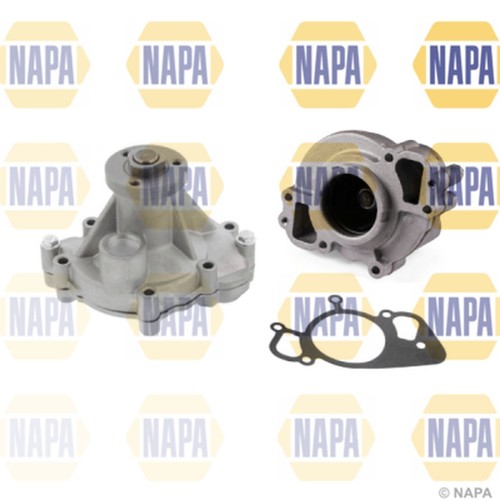 Water pump for jaguar - for, 8
