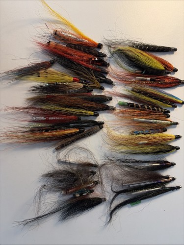 Assorted salmon sea - sea, trout