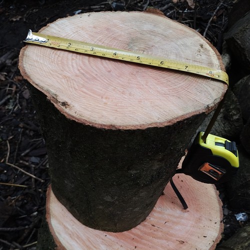 Ash wood chopping block heavy - ash,