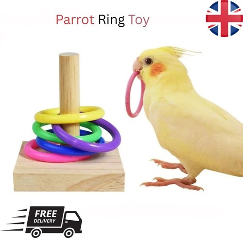 Wooden interactive parrot ring - wooden,