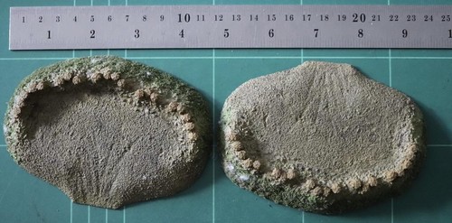 Resin painted 120mm 85mm x - 120mm,