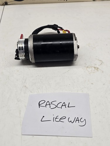 Rascal liteway mobility