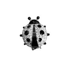 Ladybird Pin / Brooch Rhodium
