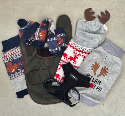 Dog clothes bundle for - , small