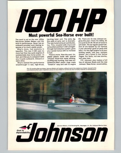 1966 paper 100 - ad, johnson