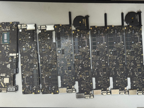 Job lot 10x - job, apple