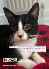 RSPCA SW LONDON FOUND HOMELESS