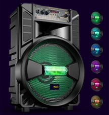8" 3000W Portable Bluetooth
