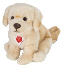 Golden Retriever by Teddy