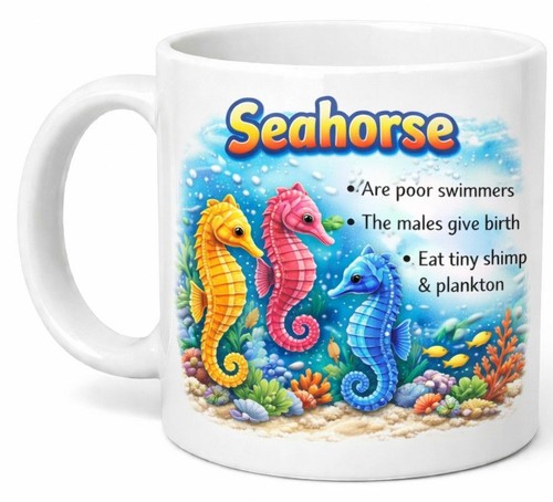 Seahorse educational ocean - seahorse,