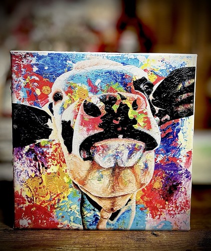 Cow art colorful - colorful, two