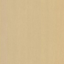 Formica cream softwood 4923 - cream,