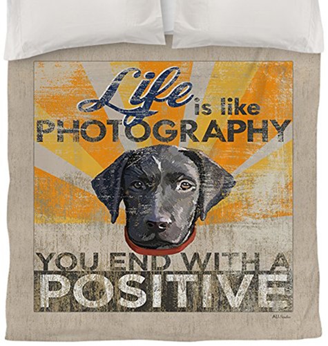 New black labrador retriever - labrador,