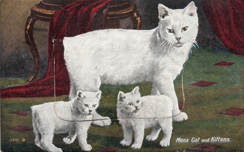 Early pull out postcard - -, manx