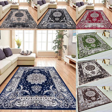 Traditional Large Area Rug for