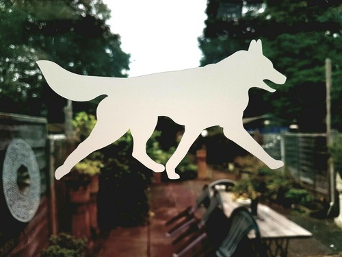 Siberian husky decal - decal, car
