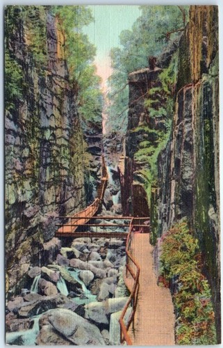 The flume gorge franconia - the,