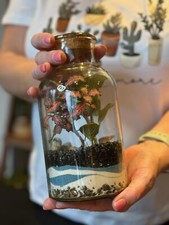 Tall diy terrarium kit - cm,