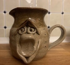 ‘Pretty Ugly Mug’  Welsh