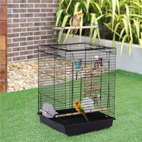 Small bird cage - cage, budgie