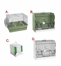 Bird travel transport - bird,