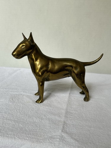 English bull terrier dog - bull,